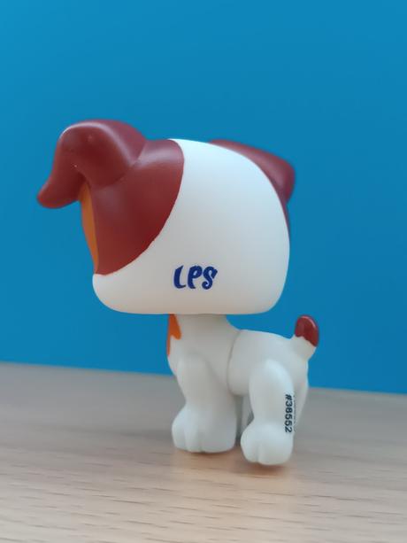 Lps pejsek jack russell teriér,