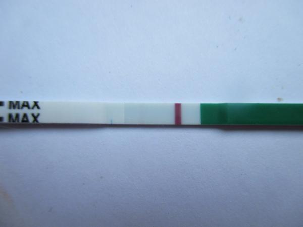 Sílící čárka na testu, je to z Pregnylu?