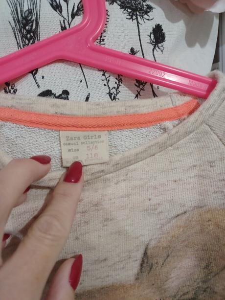 Mikina s čivavou zara, zara,116