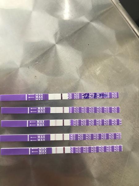 Strach ze čárka na testu nesili 22 dpo