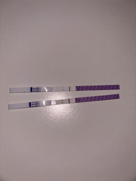Test. Snažit se při ovulaci dnes nebo počkat?