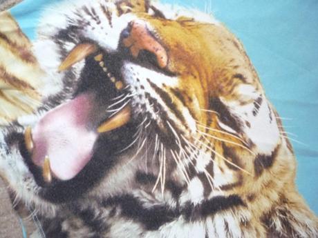 Balík oblečení vel 98 h&m, loap, next, 86–98