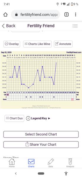 Grafy, ovulace - začínám. Probíhá ovulace?