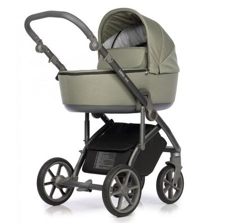 Roan bass next misty mood, roan,roan bass next