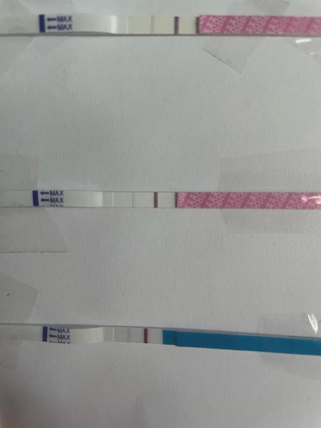 Kdy se objednat na gynekologii po pozitivním testu?