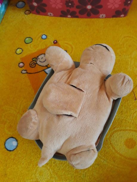 Želva hvězdné nebe,