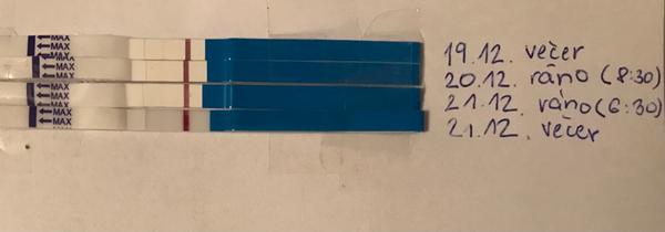 Proč duchovní síla při testech na těhotenství nesílí?