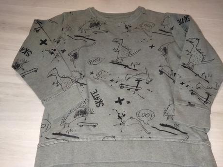 Mikina s dinosaury 116 next, next,116