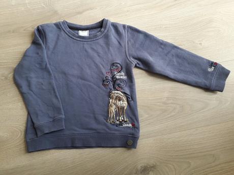 1064 - mikina wendy, 116