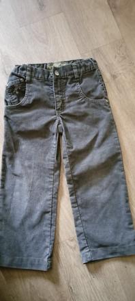 Manšestráky, palomino,104