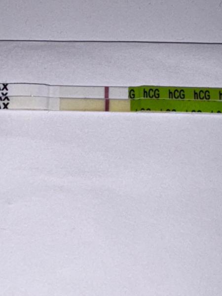 Test. Co si o tom myslíte?