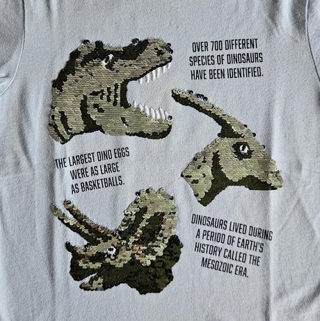 6x chlapecké tričko 110/116/122 ninjago,dinosaurus, 116