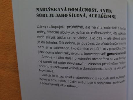 Kniha jak přežít vánoce a nezbláznit se,