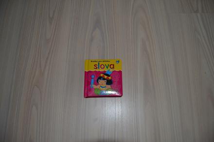 Dětská kniha,