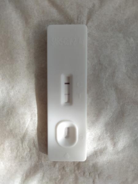 Proč je antigenní test pozitivní a PCR negativní?