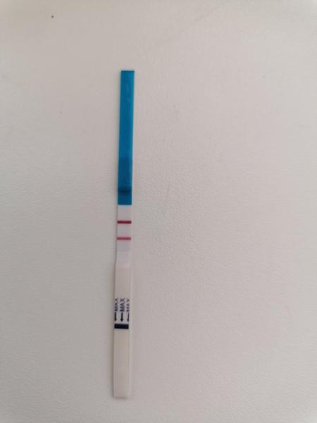 Špinění v těhotenství v době menstruace. Máte zkušenost?