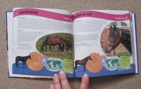 Koně našeho světa, 