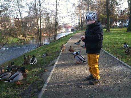 Next zimní bunda vel 98, next,98