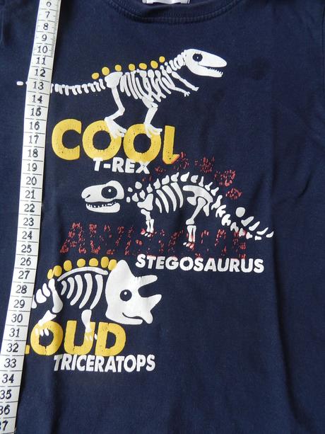 Triko dlouhý rukáv dinosauři, pepco,104