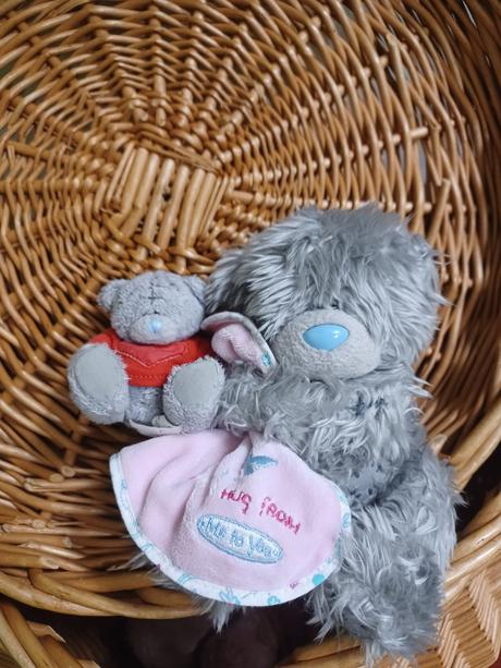 2krát plyšový medvídek me to you, 