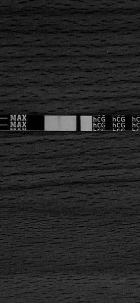 Může být negativní těhotenský test chybně negativní?