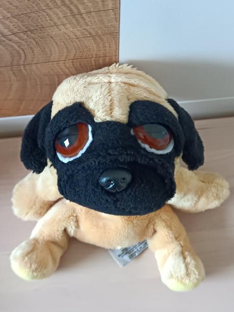 Plyšový pejsek mops vykulínek,
