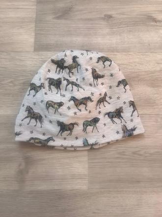 Čepice koníci, 116