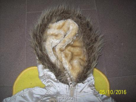 Zlatá bunda, ladybird,122