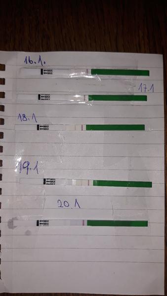 Ovulace. Myslíte, že už byla?