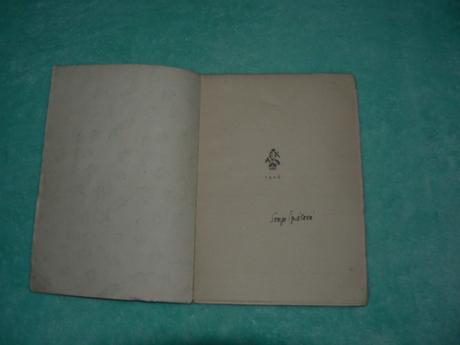 Černý motýl, sonja špálová, 