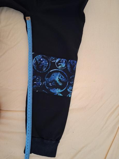 Softshellové kalhoty s dinosaury, 110