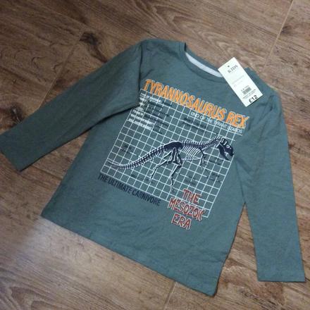 Bavlněné tričko ,,tyrannosaurus rex", 104