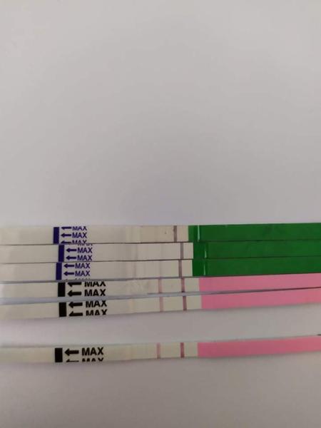 Ovulace. Kdy mohla být?