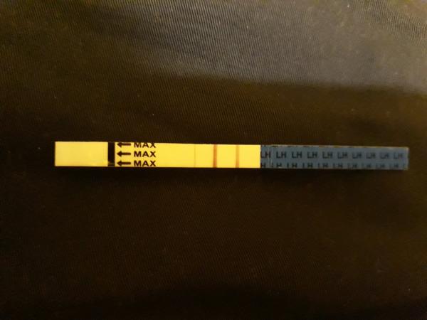 Ovu test a možné těhotenství. Co myslíte?