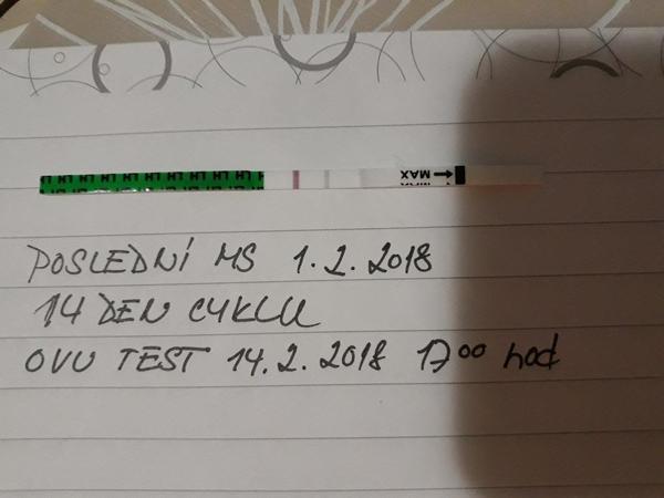 Ovulační test positivní? Nebo ještě počkat?