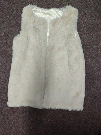 Chlupatá vesta, 176