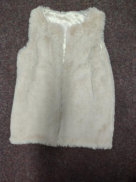 Chlupatá vesta, 176