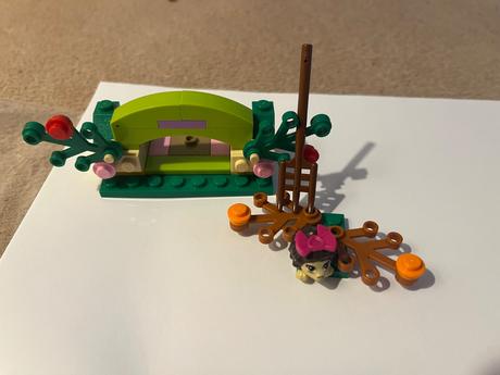 Lego friends 41020 ježci a ukryt, 