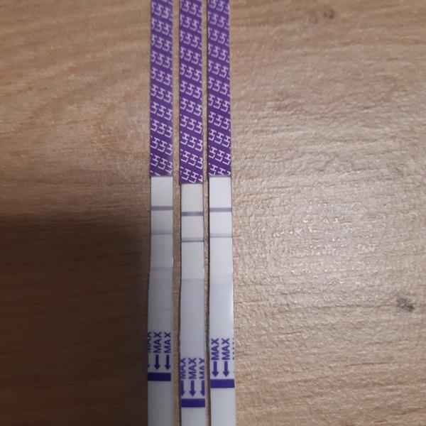 Je ovulační test 11. den cyklu pozitivní?