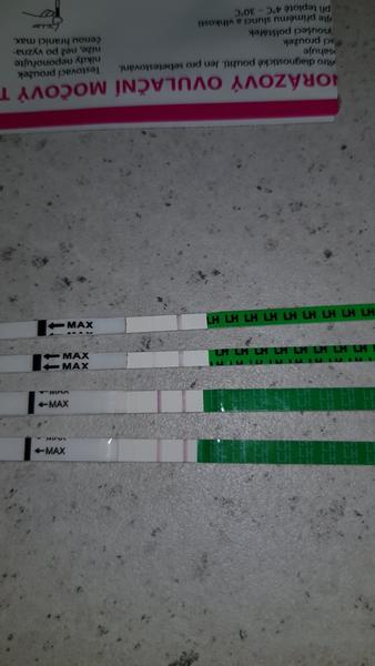 Kdy mít sex podle testů?