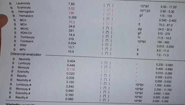 Výsledky krevních testů. Jsou v pořádku?