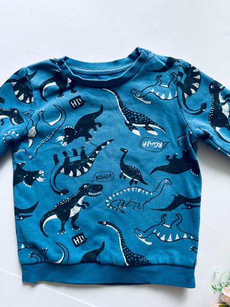 Mikina dino - v.18/23 měs, 92