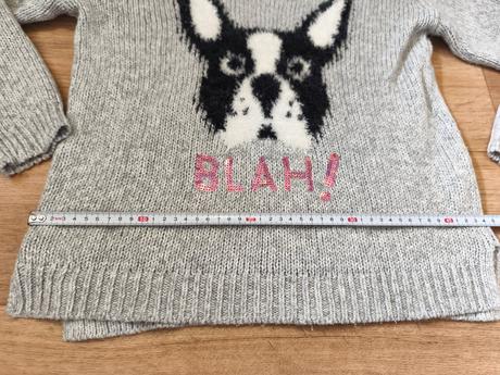 Svetr se psem, c&a,146