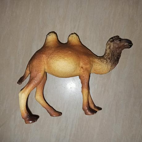 Velbloud, pes, králíček, 