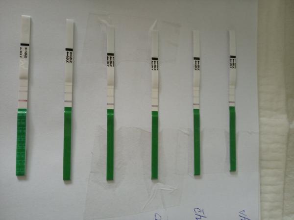 Ovulační test? Je tam něco?