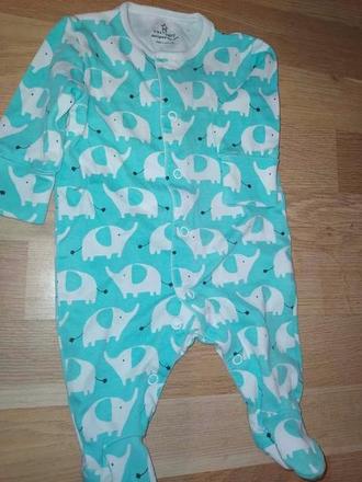 Overal se slony 56 next, next,62