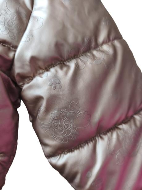 Dívčí zimní bunda, nickelodeon,104