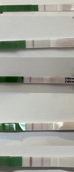 Jsem těhotná nebo si to namlouvám?