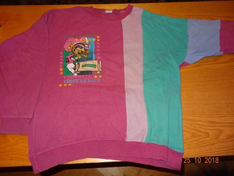 Dámská i dívčí mikina, pleas,152