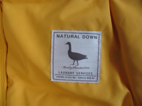 Péřová vesta s kapucí - pepe jeans, pepe jeans,164